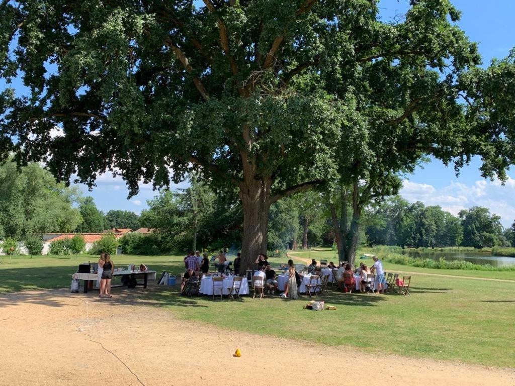 Couette-café L'orangerie De Châtel - Selection Figaro Magazine 2019 *